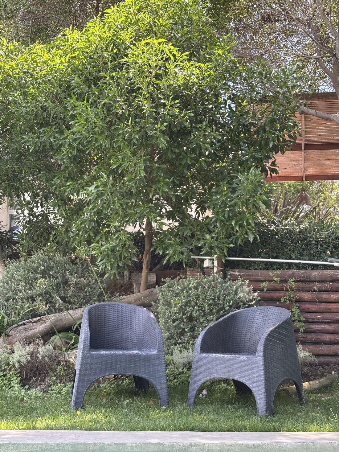 Zona de juegos y jardín — Horizonte 56, Monte Hermoso — foto 10
